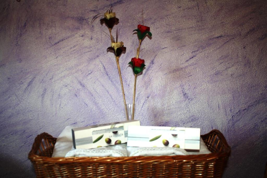 Hotel Carvajal Torrejon el Rubio Ngoại thất bức ảnh